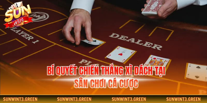 Bí quyết chiến thắng xì dách tại sân chơi cá cược